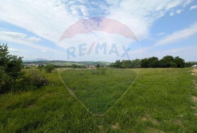 Teren intravilan de vanzare 2.444 mp - Targu Lapu? - 1