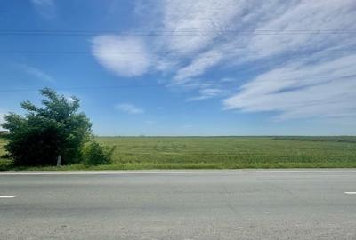 Teren Construcții intravilan de 18416 mp, în Mihăilești - 3