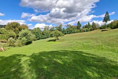 Teren de 27000 mp, în Rebrișoara - 4