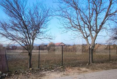 Teren de 550 mp, în Central