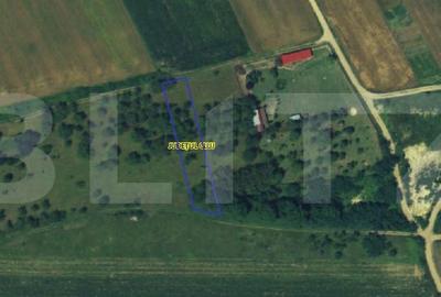 Teren de 1268 mp, în Mihai Viteazu - 3