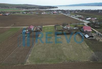 Teren de vanzare, Sat Bazga, Com. Horge?ti, Bacau - 21