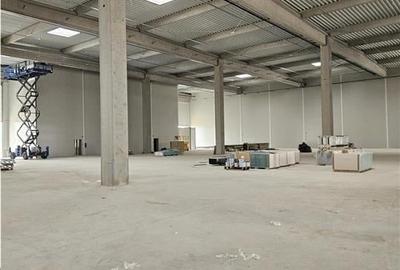Spatiu Industrial - 3500 mp - Productie - Depozitare - Logistica - Distributie - 1