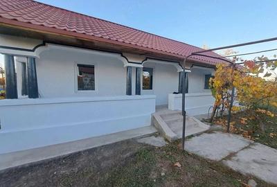 Casă cu 2 camere cu Teren 2800 Mp în Spineni - 7