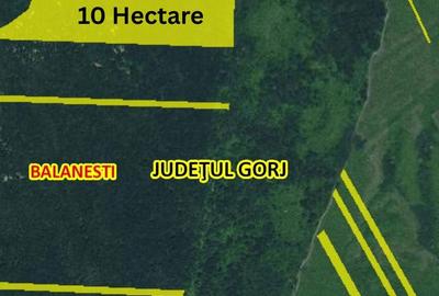 Teren de 100000 mp, în Bălănești - 1