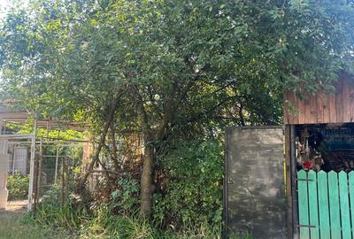 COMISION 0 % - Apartament  la casa zona centrala Milea - Oituz - 9