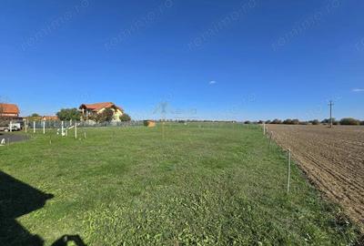 Teren Vetis, 2 parcele de 800mp , zona linistita cu strada asfaltata - 1