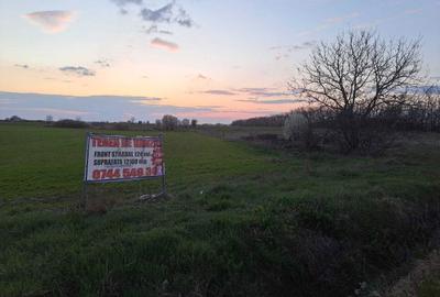 Spațiu comercial, în Giroc - 3