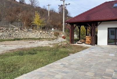 Proprietate multifuncțională sub pădure – locuință principală + spațiu de relaxa - 10