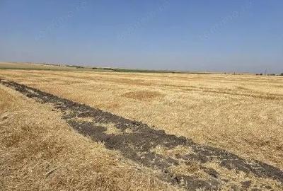 Teren extravilan Zimnicea cota parte 1/6 ID: R2688418 - 9