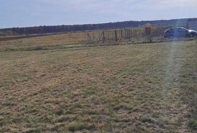 Spațiu comercial, în Central - 2