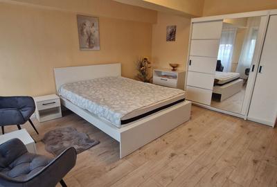 Garsonieră decomandată în Nufărul - 8