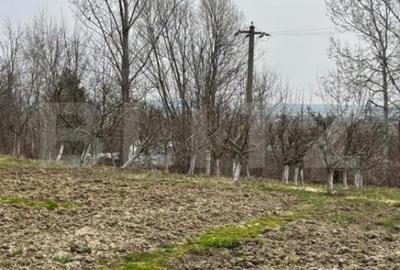 Casă cu 4 camere cu Teren 4600 Mp în Central