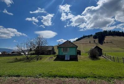 Casă cu 3 camere în Vale - 5
