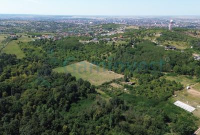 Teren Construcții intravilan de 1200 mp, în Paleu - 7