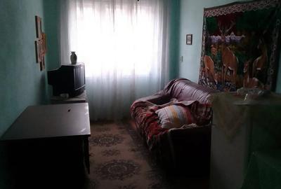 Casa de vanzare Sat Plugova - 4