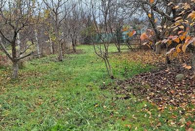 Casă cu Teren 1200 Mp în Central - 1