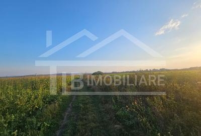 Teren Construcții intravilan de 1476 mp, în Periferie - 3