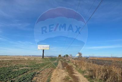 Teren de vanzare 17500 mp DN1 Paulesti - 1