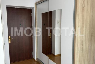 Apartament cu 2 camere decomandat, mobilat în Craiovei - 3