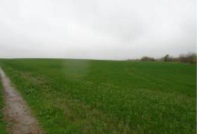 Teren intravilan arabil, situat in Com. Valea Mare, jud. Olt - 1