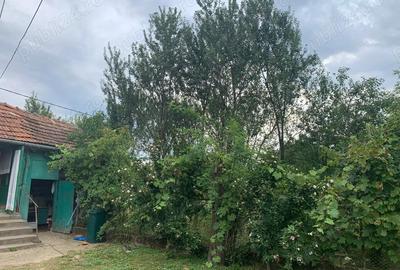 Casă cu 2 camere în Aciua - 5