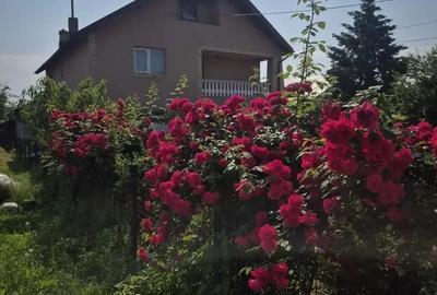 Casă cu 5 camere în Titu - 3