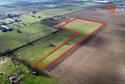 Teren Construcții intravilan de 20000 mp, în Pădureni (Jebel) - 1