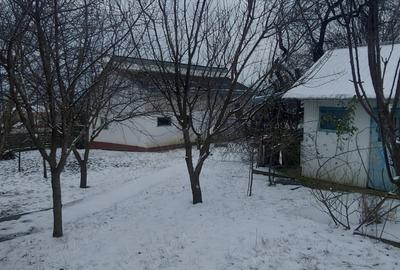Casă cu 3 camere cu Teren 2700 Mp în Șerbănești - 3