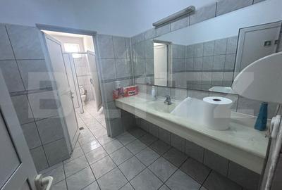 Birou, de 480 mp, în Brazda lui Novac - 18