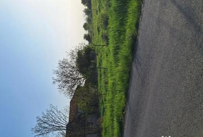 Teren de 955 mp, în Sânmihaiu German - 5