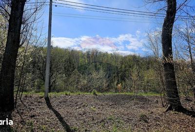 Teren de 10000 mp, în Vânători-Neamț - 2