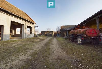 Teren ?i hale pe Calea Aradului din Periam - 3