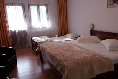 Casă individuală cu 7 camere cu Teren 1200 Mp în Lepșa - 10