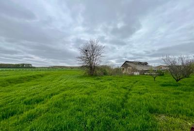 Teren agricol intravilan de 6576 mp, în Curcani - 3