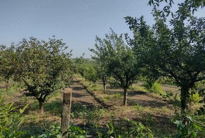 Vand inchiriez casa + teren 2600mp, statie combustibili - Comuna Rediu Vand inchiriez casa + teren 2600mp, statie combustibili - Comuna Rediu - 4