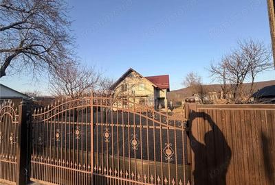 Casă cu Teren 8400 Mp în Pătrăuți - 1