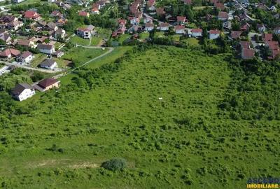 FILM!Oportunitate: 8.500mp, recomandat investitional dezvoltare,Livezeni, Mures - 13