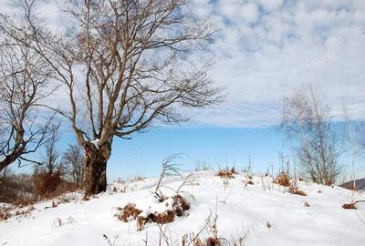 Casă cu 4 camere în Poiana Stampei - 6