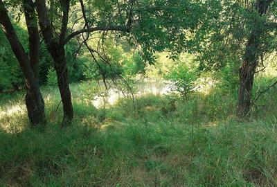 Roscani-Dobra-Teren Cabana-10km A1-Posibilitate Rate - 8