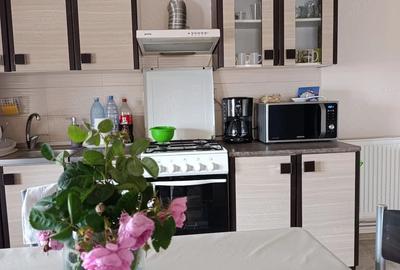Casă cu 3 camere cu Teren 687 Mp în Teiu - 4