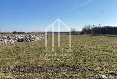 Teren agricol intravilan de 16310 mp, în Rusciori - 4