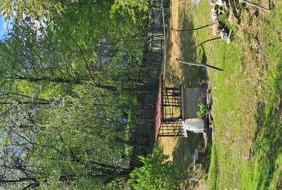 Teren de 10000 mp, în Tomșani - 6