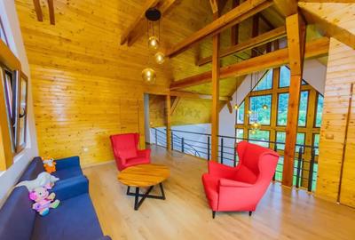 Casă cu 7 camere cu Teren 6370 Mp în Groși - 13