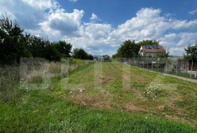 Teren intravilan de vanzare 1.000 mp | Localitatea Unir - 4