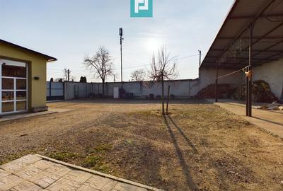 Casă individuală cu 3 camere cu Teren 1363 Mp în Periam - 3