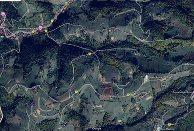 Teren intravilan 3791 mp cu priveliste deosebita si PUZ aprobat - 4