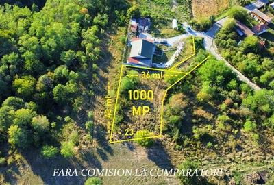 BUDESTI, TEREN 1000 MP, PRIVELISTE MINUNATA - 3