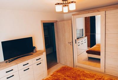Apartament cu 2 camere decomandat, mobilat în Banat - 12