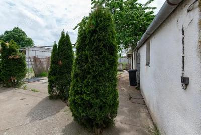 Proprietar! Vind Casa tip 'Vila'in JIMBOLIA! - 8